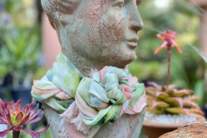 Jane Seymour Succulent Scarf