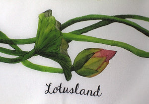 Lotusland Silk Crepe De Chine Carré
